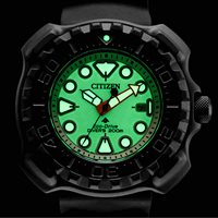 Orologio Citizen Uomo Promaster Diver's 200 Full Lume in Titanio BN0227-17X - BN0227-17X